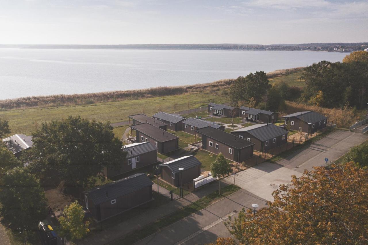Lodgepark Goitzsche Gmbh Bitterfeld-Wolfen Extérieur photo